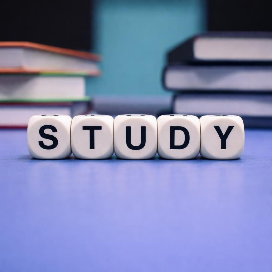 RVInsights study